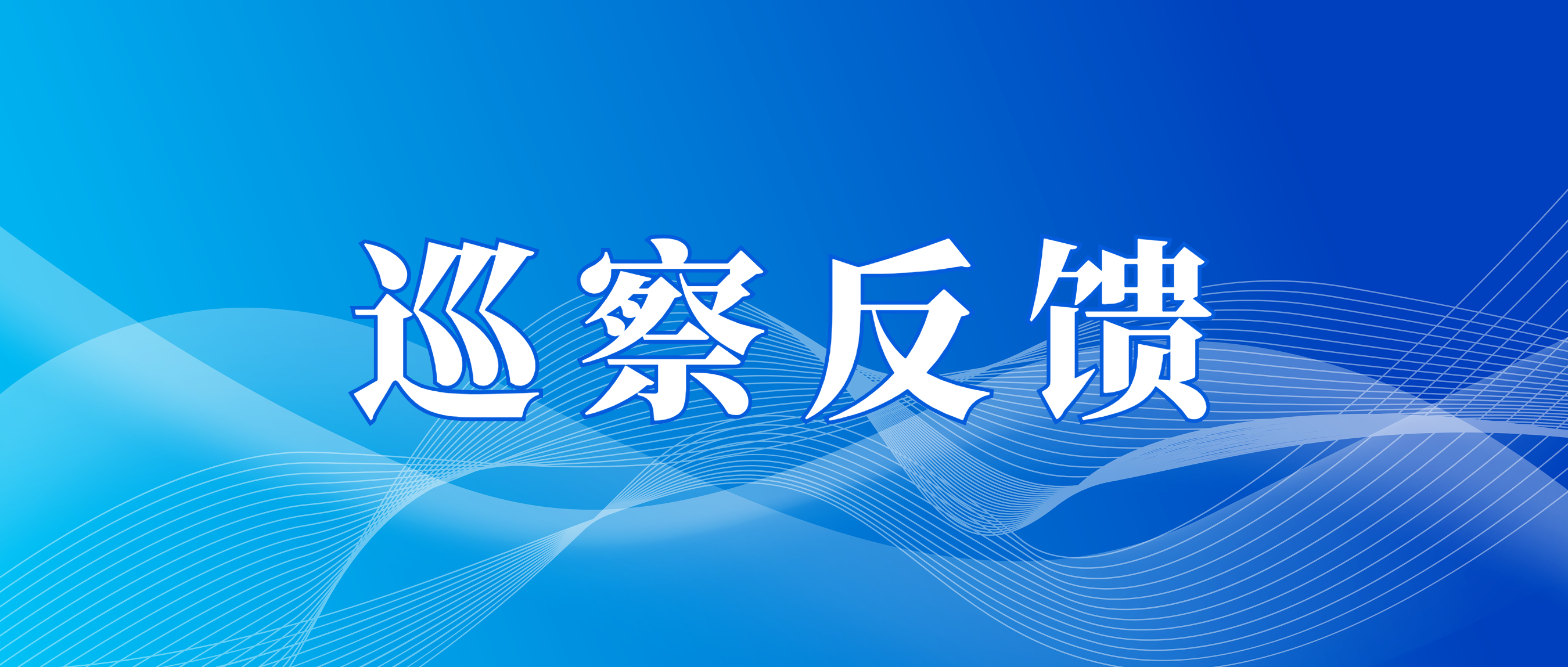 市国资委党委第三巡察组向广州产投资本党总支反馈巡察情况